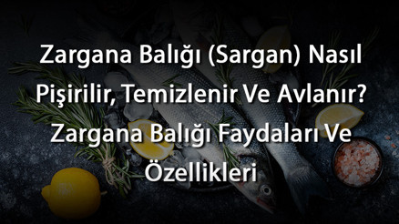 Zargana Balığı (Sargan) Nasıl Pişirilir, Temizlenir Ve Avlanır Zargana Balığı Faydaları Ve Özellikleri