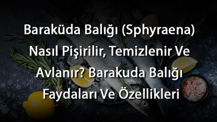 Baraküda Balığı (Sphyraena) Nasıl Pişirilir, Temizlenir Ve Avlanır Barakuda Balığı Faydaları Ve Özellikleri Baraküda Balığı (Sphyraena) Nasıl Pişirilir, Temizlenir Ve Avlanır Barakuda Balığı Faydaları Ve Özellikleri