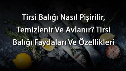 Tirsi Balığı Nasıl Pişirilir, Temizlenir Ve Avlanır Tirsi Balığı Faydaları Ve Özellikleri