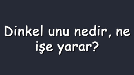 Dinkel unu nedir, ne işe yarar Besin değerleri ve gluten oranı