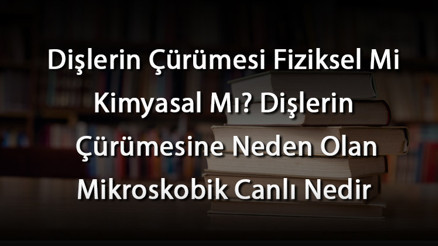 Dişlerin Çürümesi Fiziksel Mi Kimyasal Mı Dişlerin Çürümesine Neden Olan Mikroskobik Canlı Nedir