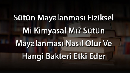 Sütün Mayalanması Fiziksel Mi Kimyasal Mı Sütün Mayalanması Nasıl Olur Ve Hangi Bakteri Etki Eder