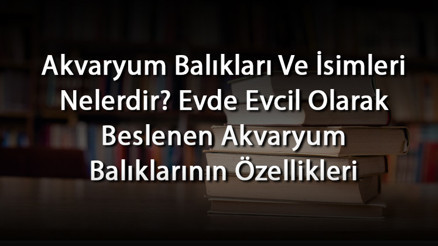 Akvaryum Balıkları Ve İsimleri Nelerdir Evde Evcil Olarak Beslenen Akvaryum Balıklarının Özellikleri