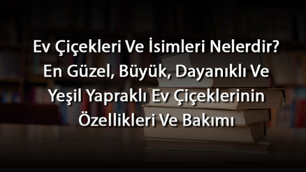 Ev Çiçekleri Ve İsimleri Nelerdir En Güzel, Büyük, Dayanıklı Ve Yeşil Yapraklı Ev Çiçeklerinin Özellikleri Ve Bakımı