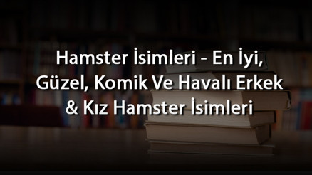 Hamster İsimleri - En İyi, Güzel, Komik Ve Havalı Erkek & Kız Hamster İsimleri Hamster İsimleri - En İyi, Güzel, Komik Ve Havalı Erkek & Kız Hamster İsimleri