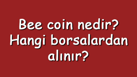 Bee coin nedir Hangi borsalardan alınır Bee Token ne zaman çıktı Ne iş yapar