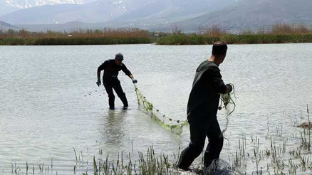 Bin metre misina ağı ele geçirildi ‘El koymasaydık yaklaşık 10 ton balık ağa yakalanırdı’