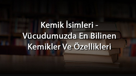 Kemik İsimleri - Vücudumuzda En Bilinen Kemikler Ve Özellikleri