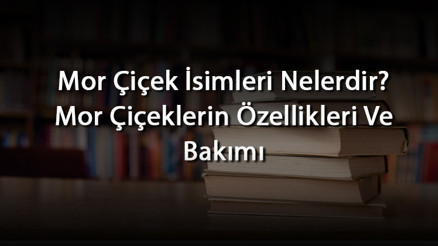 Mor Çiçek İsimleri Nelerdir Mor Çiçeklerin Özellikleri Ve Bakımı