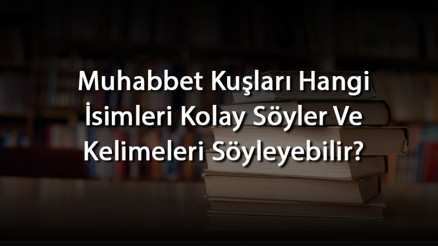 Muhabbet Kuşları Hangi İsimleri Kolay Söyler Ve Kelimeleri Söyleyebilir Muhabbet Kuşları Hangi İsimleri Kolay Söyler Ve Kelimeleri Söyleyebilir