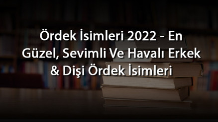 Ördek İsimleri 2022 - En Güzel, Sevimli Ve Havalı Erkek & Dişi Ördek İsimleri