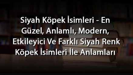 Siyah Köpek İsimleri - En Güzel, Anlamlı, Modern, Etkileyici Ve Farklı Siyah Renk Köpek İsimleri İle Anlamları