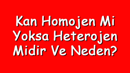 Kan homojen mi yoksa heterojen midir ve neden