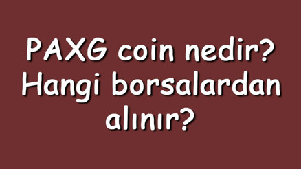 PAXG coin nedir Hangi borsalardan alınır PAX Gold ne zaman çıktı Ne iş yapar PAXG coin nedir Hangi borsalardan alınır PAX Gold ne zaman çıktı Ne iş yapar
