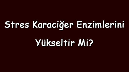 Stres karaciğer enzimlerini yükseltir mi Stresin karaciğere ve enzimlerine etkileri neler