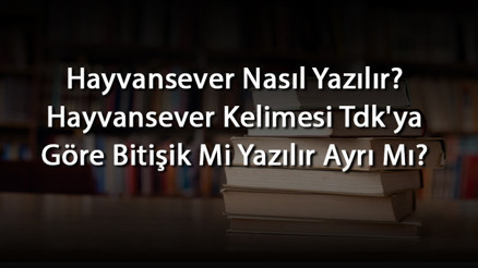 Hayvansever Nasıl Yazılır Hayvansever Kelimesi Tdkya Göre Bitişik Mi Yazılır Ayrı Mı