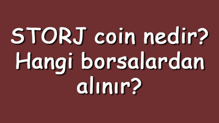 STORJ coin nedir Hangi borsalardan alınır STORJ ne zaman çıktı Ne iş yapar