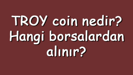 TROY coin nedir Hangi borsalardan alınır TROY ne zaman çıktı Ne iş yapar