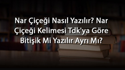 Nar Çiçeği Nasıl Yazılır Nar Çiçeği Kelimesi Tdkya Göre Bitişik Mi Yazılır Ayrı Mı