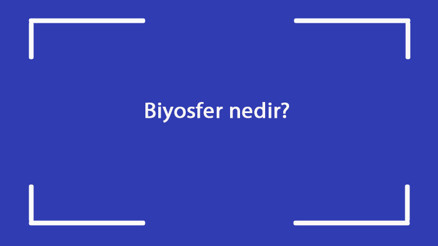 Biyosfer nedir Nelerden oluşur Coğrafyada biyosfer canlı küre ne demektir Biyosfer nedir Nelerden oluşur Coğrafyada biyosfer canlı küre ne demektir