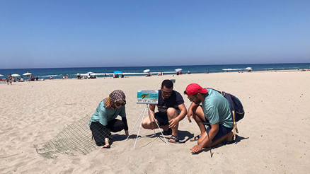 Dünyaca ünlü sahillerde caretta caretta yasağı... Saat 20:00den sonra giriş yasak