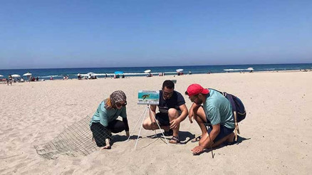 Caretta caretta yasağı: 3 sahile gece girmenin cezası 109 bin TL