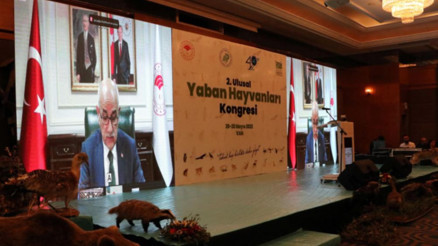 Bakan Kirişci: 1 milyon tür yok olma riski altındadır