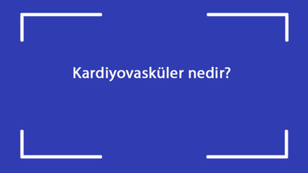 Kardiyovasküler nedir Belirtileri nelerdir Hastalığın tanısı ve tedavi yöntemleri