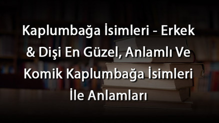 Kaplumbağa İsimleri - Erkek & Dişi En Güzel, Anlamlı Ve Komik Kaplumbağa İsimleri İle Anlamları