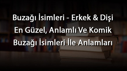 Buzağı İsimleri - Erkek & Dişi En Güzel, Anlamlı Ve Komik Buzağı İsimleri İle Anlamları