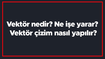 Vektör nedir Ne işe yarar Vektör çizim nasıl yapılır