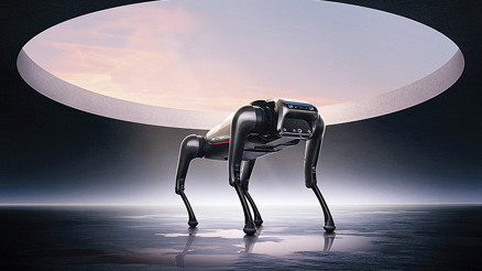 Robot köpekler işbaşında