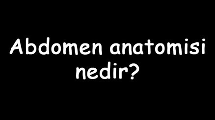 Abdomen anatomisi nedir Abdomen neresidir Tıpta ne anlama gelir Abdomen anatomisi nedir Abdomen neresidir Tıpta ne anlama gelir