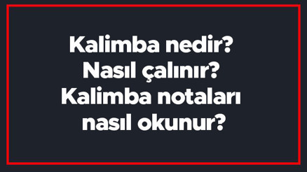Kalimba nedir Nasıl çalınır Kalimba notaları nasıl okunur
