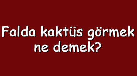 Falda kaktüs görmek ne demek Falda kaktüs ağacı, çiçeği ve bitkisi çıkması