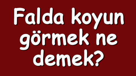 Falda koyun görmek ne demek Kahve falında koyun kafası ve sürüsü çıkması anlamı