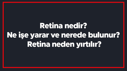 Retina nedir Ne işe yarar ve nerede bulunur Retina neden yırtılır