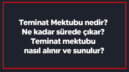 Teminat Mektubu nedir Ne kadar sürede çıkar Teminat mektubu nasıl alınır ve sunulur Teminat Mektubu nedir Ne kadar sürede çıkar Teminat mektubu nasıl alınır ve sunulur