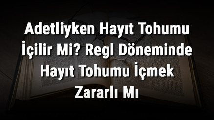 Adetliyken Hayıt Tohumu İçilir Mi Regl Döneminde Hayıt Tohumu İçmek Zararlı Mı