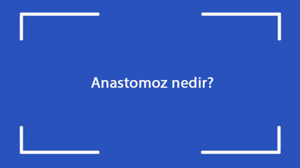 Anastomoz nedir Belirtileri nelerdir Anastomoz hastalığının tanısı ve tedavi yöntemleri