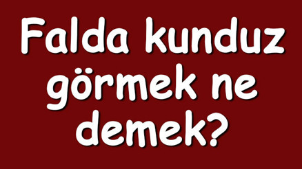 Falda kunduz görmek ne demek Kahve falında büyük, ters ve beyaz kunduz çıkması