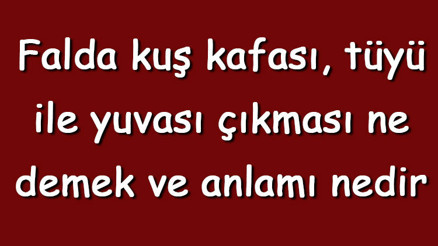 Falda kuş kafası, tüyü ile yuvası çıkması ne demek ve anlamı nedir