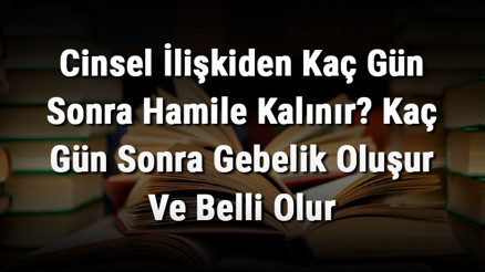 Cinsel İlişkiden Kaç Gün Sonra Hamile Kalınır Kaç Gün Sonra Gebelik Oluşur Ve Belli Olur