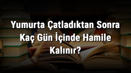 Yumurta Çatladıktan Sonra Kaç Gün İçinde Hamile Kalınır Kaç Gün Sonra Gebelik Oluşur, Kanda Belli Olur Ve Test Yapılır