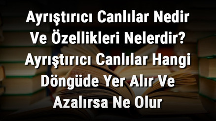Ayrıştırıcı Canlılar Nedir Ve Özellikleri Nelerdir Ayrıştırıcı Canlılar Hangi Döngüde Yer Alır Ve Azalırsa Ne Olur Ayrıştırıcı Canlılar Nedir Ve Özellikleri Nelerdir Ayrıştırıcı Canlılar Hangi Döngüde Yer Alır Ve Azalırsa Ne Olur