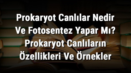 Prokaryot Canlılar Nedir Ve Fotosentez Yapar Mı Prokaryot Canlıların Özellikleri Ve Örnekler