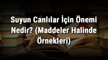 Suyun Canlılar İçin Önemi Nedir (Maddeler Halinde Örnekleri)