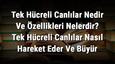 Tek Hücreli Canlılar Nedir Ve Özellikleri Nelerdir Tek Hücreli Canlılar Nasıl Hareket Eder Ve Büyür