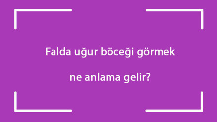 Falda uğur böceği görmek ne anlama gelir Kahve falında ters, beyaz ve siyah uğur böceği çıkması Falda uğur böceği görmek ne anlama gelir Kahve falında ters, beyaz ve siyah uğur böceği çıkması