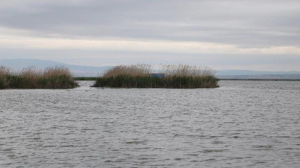 Eber Gölünde su seviyesi arttı: Yağışlar can suyu oldu